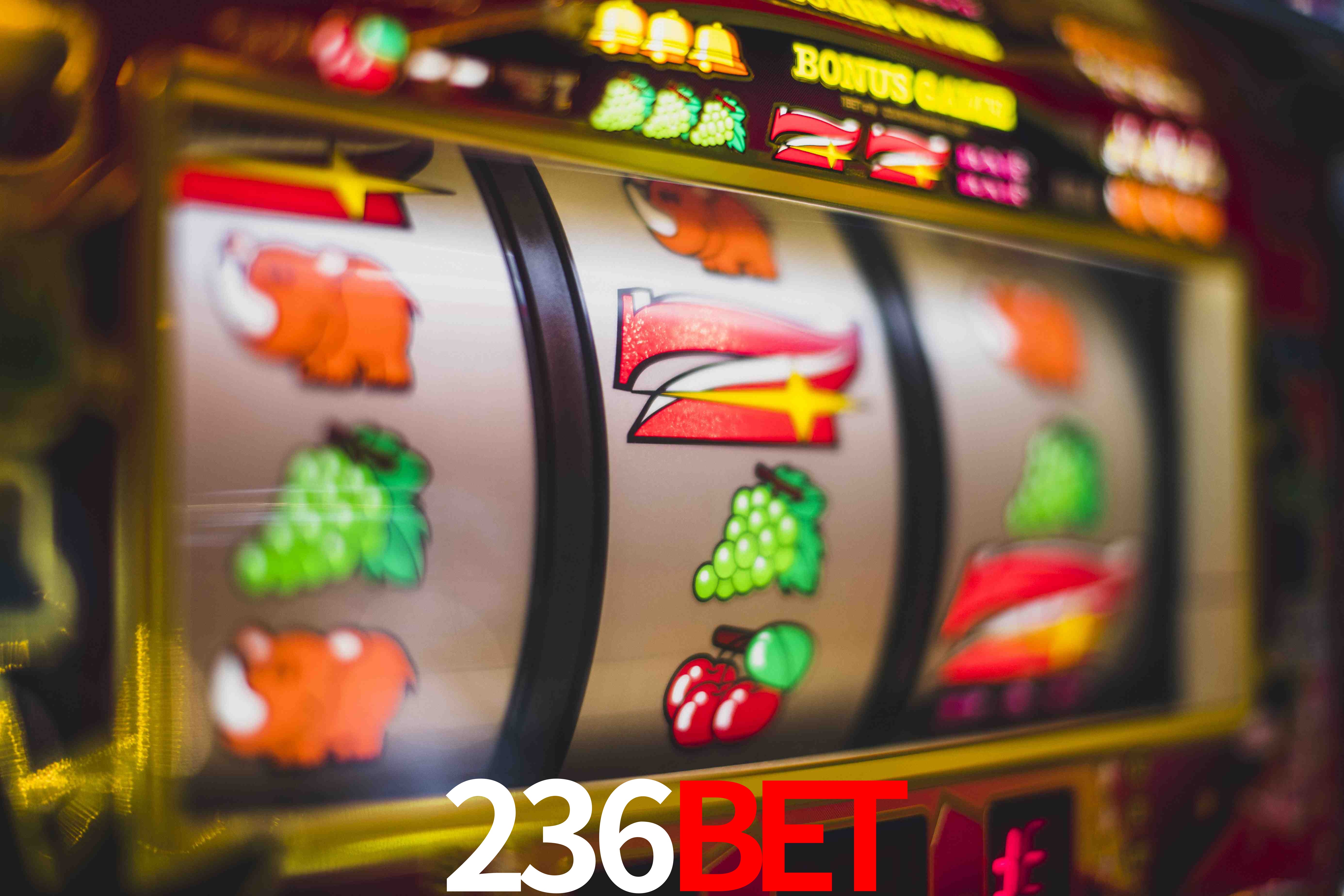 Football Betting 236BET
