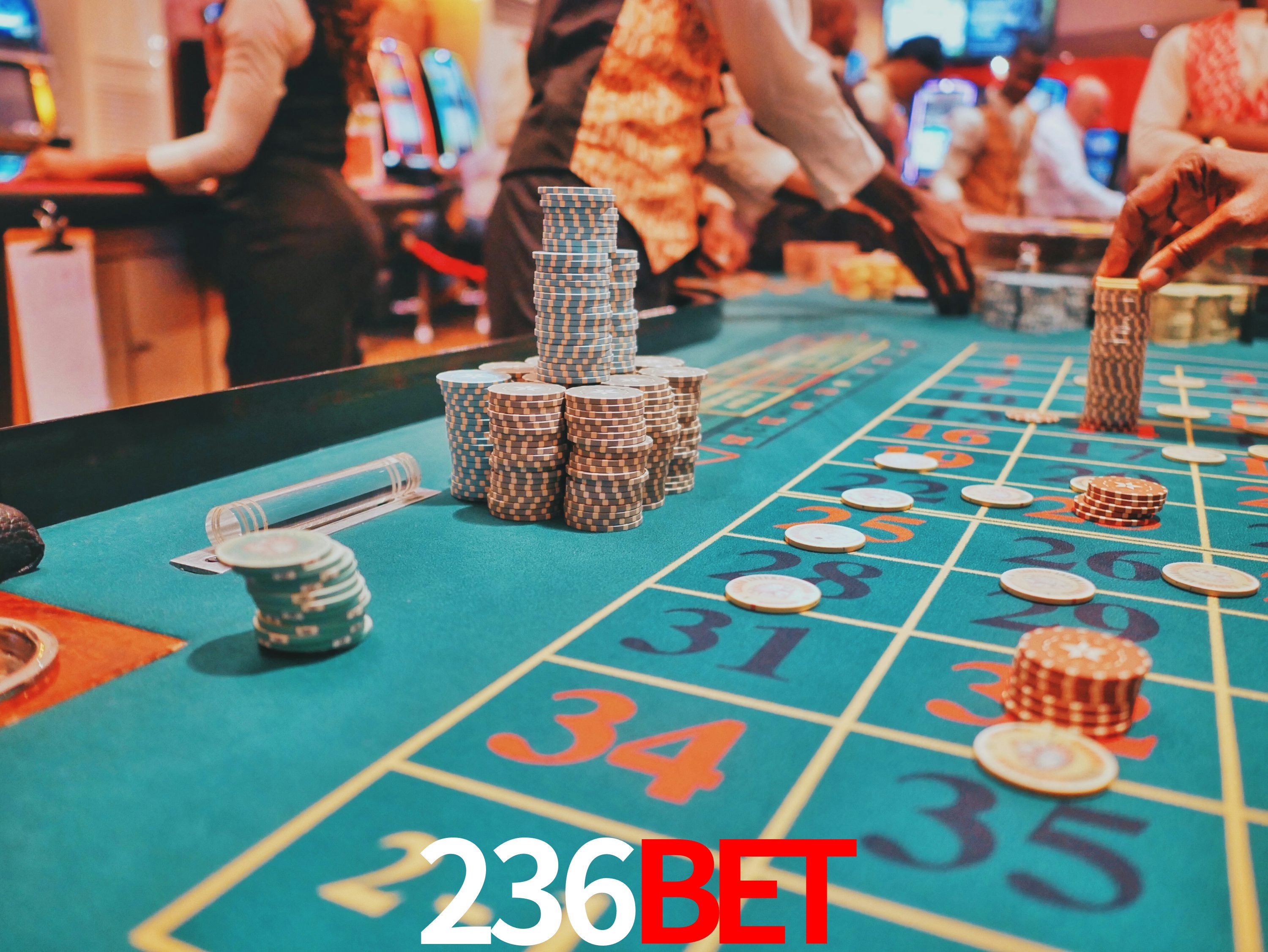Casino Ao Vivo 236BET