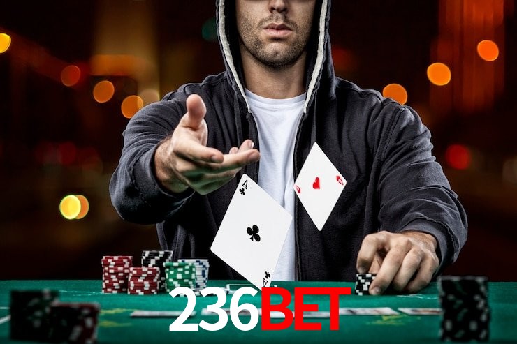 236BET,236BET vip