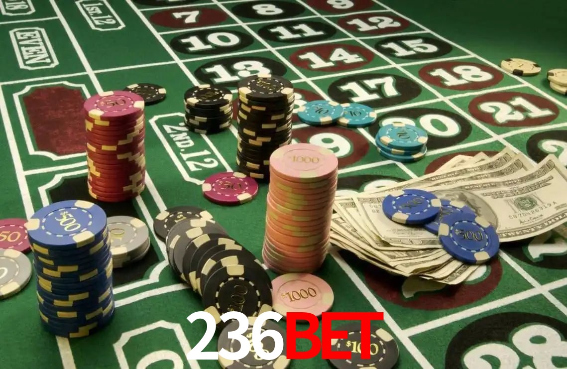 Player Reviews 236BET